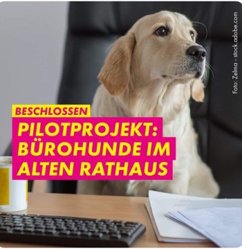 burohunde