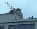 sternwarte neu
